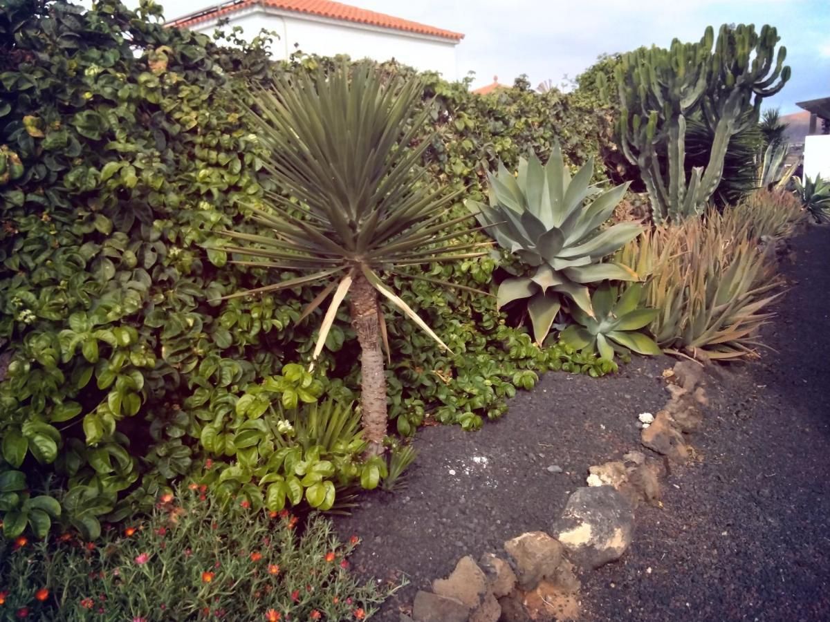 Surfwhitehouse Vila Lajares Exterior foto
