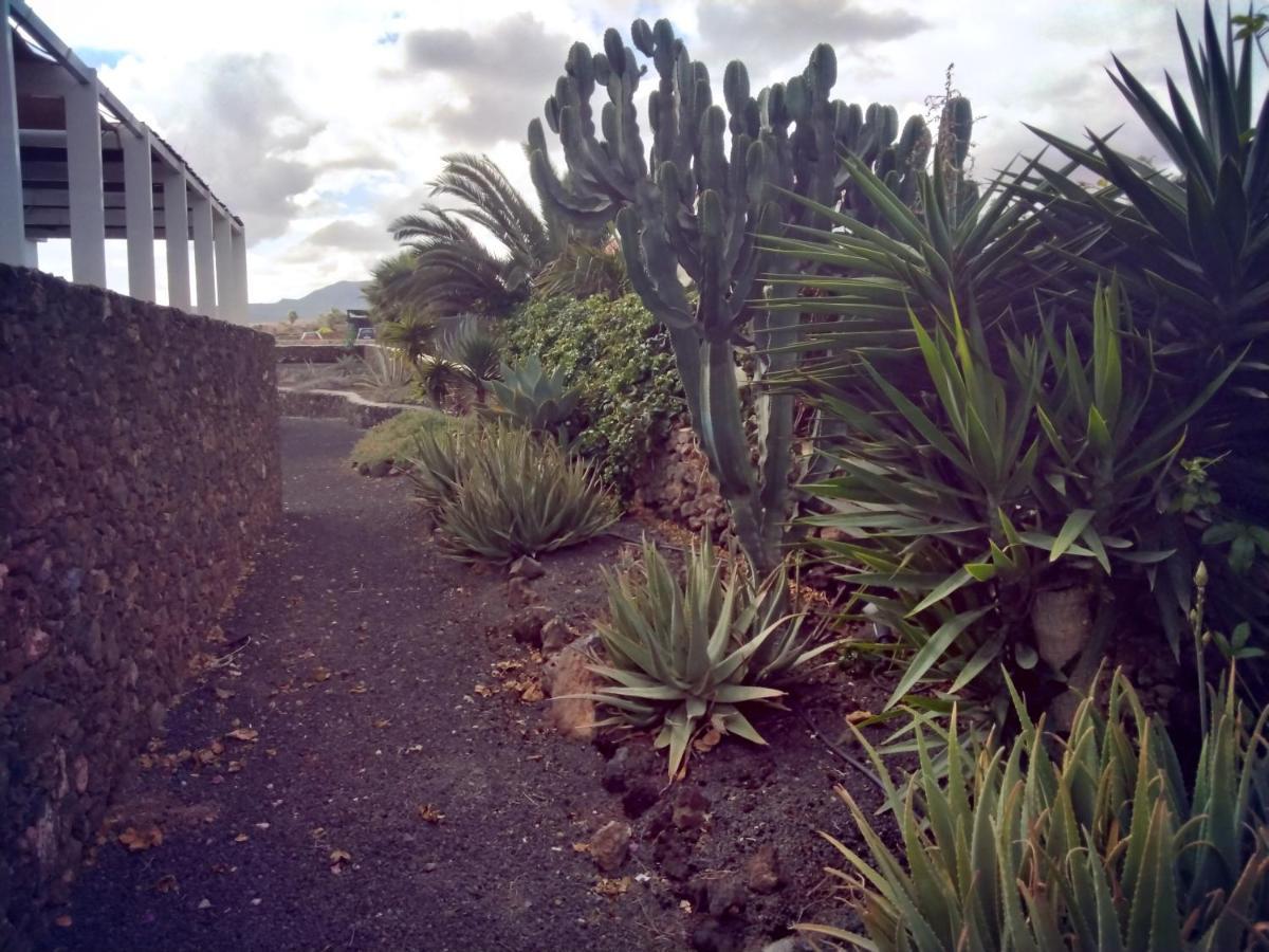 Surfwhitehouse Vila Lajares Exterior foto